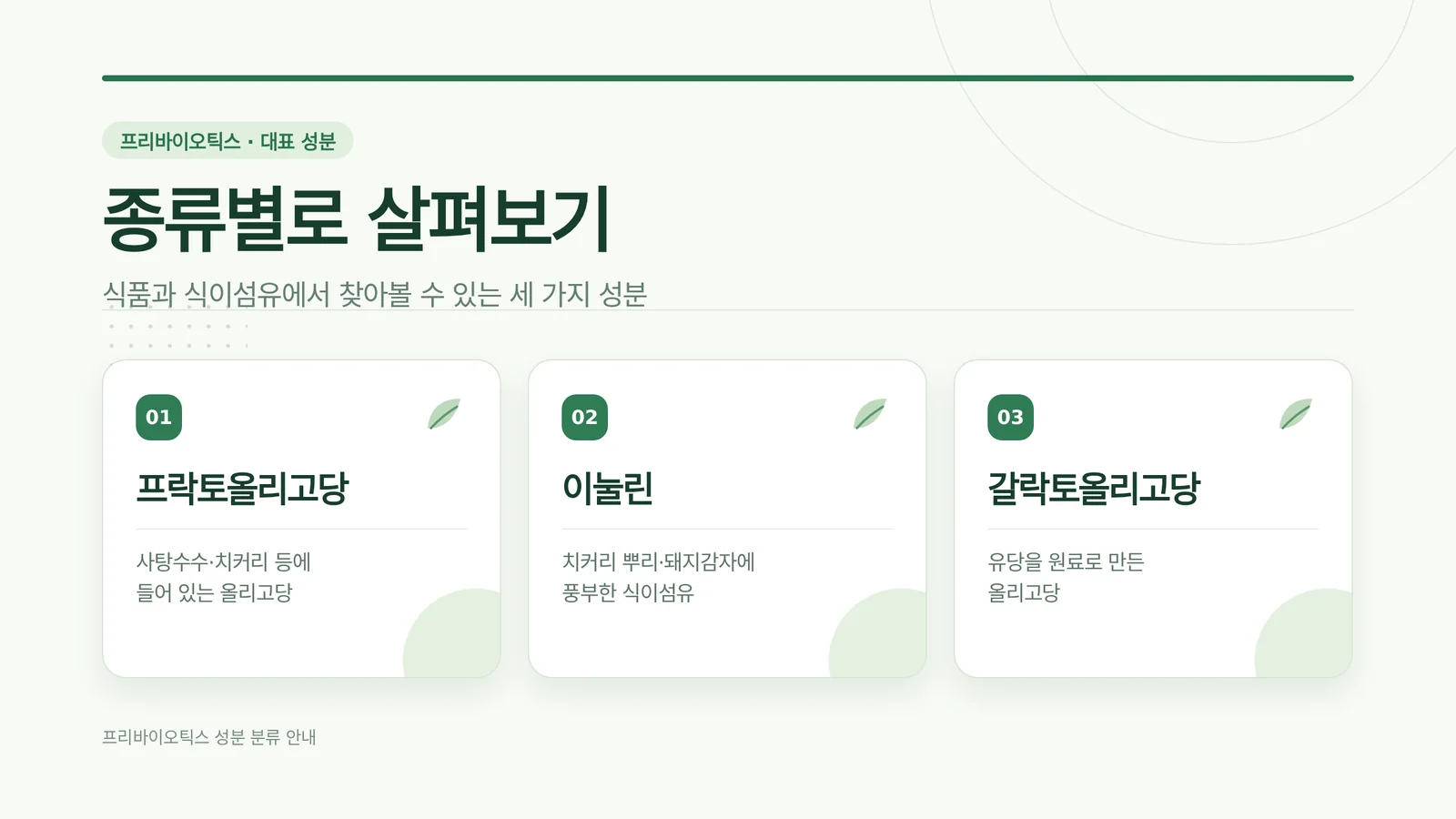 프리바이오틱스 관련 식품 분류 이미지