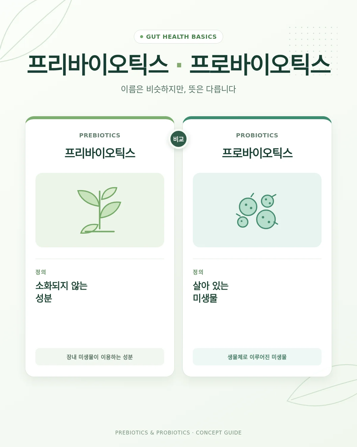 프리바이오틱스와 프로바이오틱스 비교 이미지